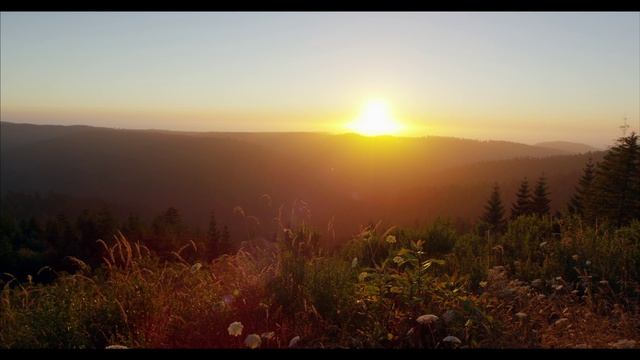 REDWOOD NATIONAL PARK IN 4K