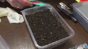 Технология горячего посева семян