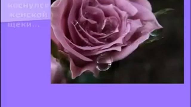 Клип посвященный женщине смотреть онлайн