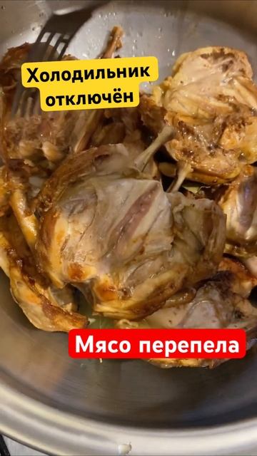 Как готовить мясо перепела #готовимдома#перепела#мясоперепела#жара#украина#хитрукелена смотреть онлайн