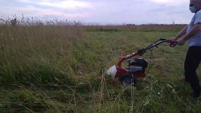 Сенокосилка 18.07.2018 смотреть онлайн