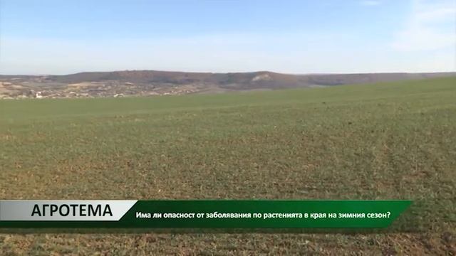 Агротема: Има ли опасност от заболявания по растенията в края на зимния сезон, автор: Петя Петкова смотреть онлайн