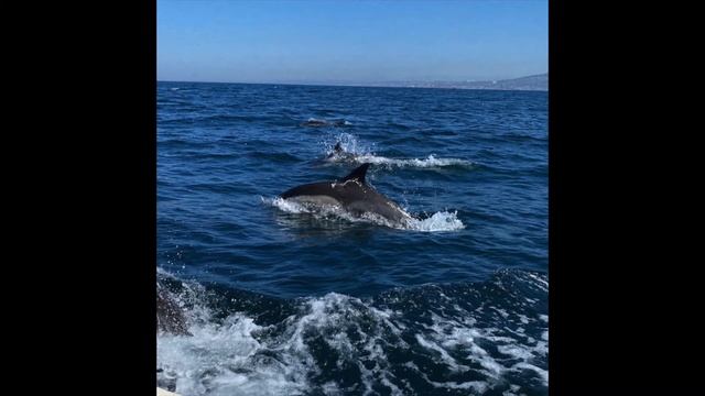 Hypnotize смотреть онлайн