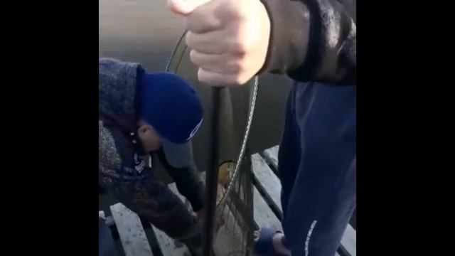Карп 3 кг смотреть онлайн