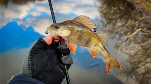 КАК РАСШЕВЕЛИТЬ ПАССИВНУЮ РЫБУ НА НИЖНЕЙ МОСКВА-РЕКЕ? / МИКРОДЖИГ В СЕРЕДИНЕ ЗИМЫ