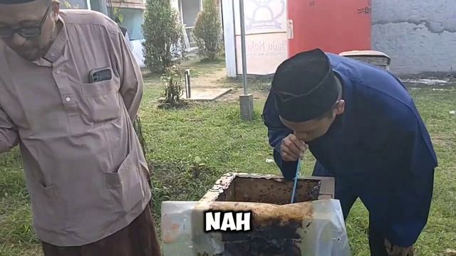 pesantren meranti sukses ternak ribuan sarang madu kelulut смотреть онлайн