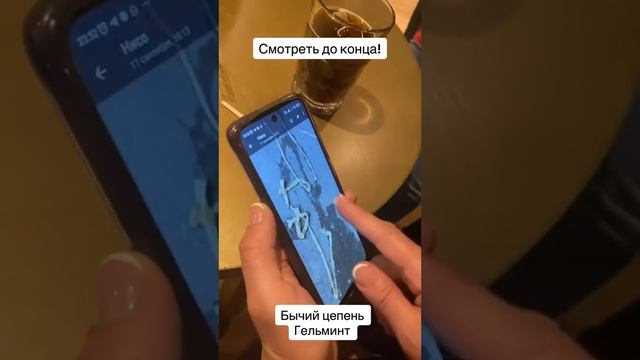 Вышел бычий цепень . Результат с леденцами смотреть онлайн