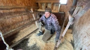 Строю выгул барашкам! Потстилка не сработала что делать ,жизнь в деревне