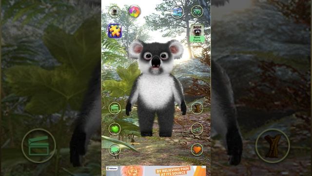 Apeldjus koala asterix s1e05 doqtog cloud tiger giving birth tiger birth time-lapse cat time-lapse смотреть онлайн