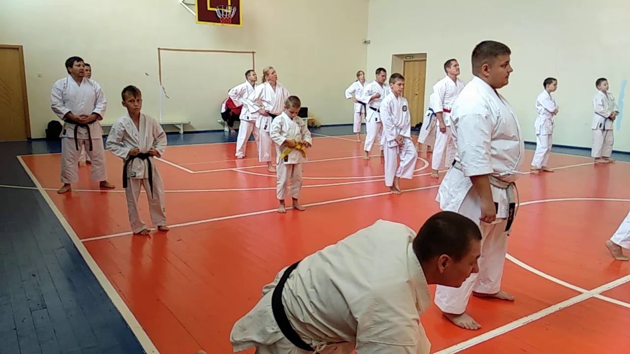 ката СК "БУДО" техника каратэ смотреть онлайн
