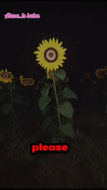 This is not real👻 it is just a dream 💭 please 🙏 wake up🌅 смотреть онлайн