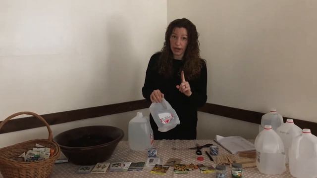 How To: Winter Sowing Made Easy | DIY Mini-Greenhouse#thehandmadens