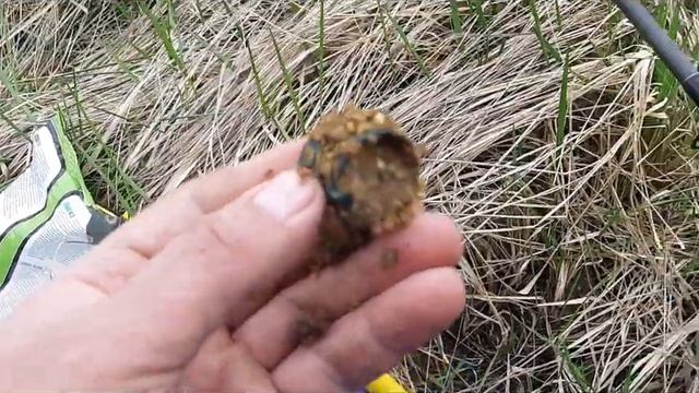 Карась проснулся. Май. 2021. смотреть онлайн