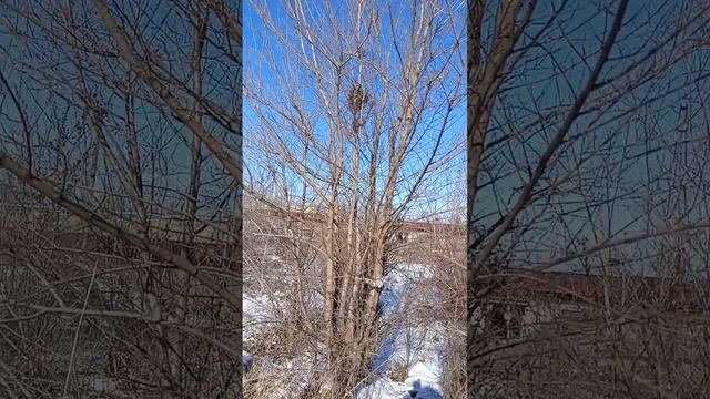 гуляем 1 часть