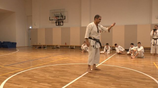 СК "БУДО" техника каратэ смотреть онлайн