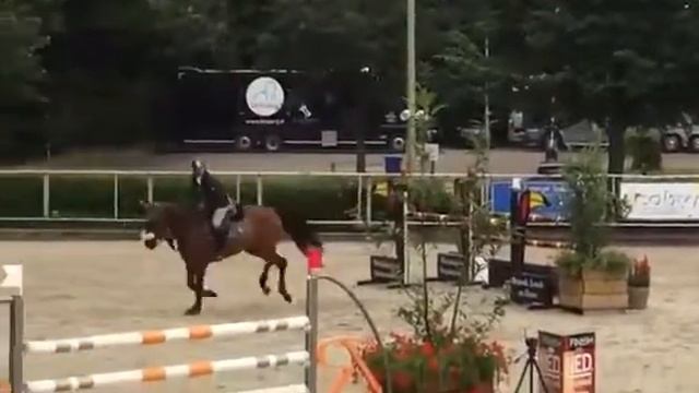 Gloria Van Het Lambroeck CSI Roosendal смотреть онлайн