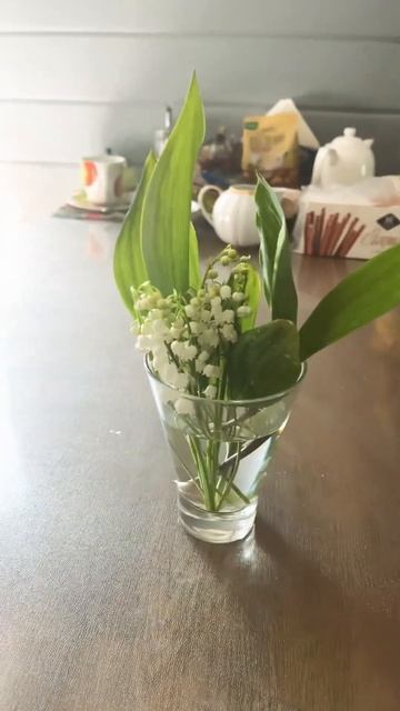 ЛАНДЫШИ смотреть онлайн