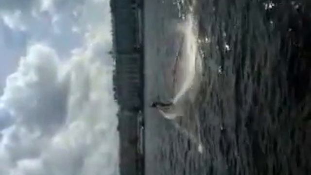 Алексей Быков - начало смотреть онлайн