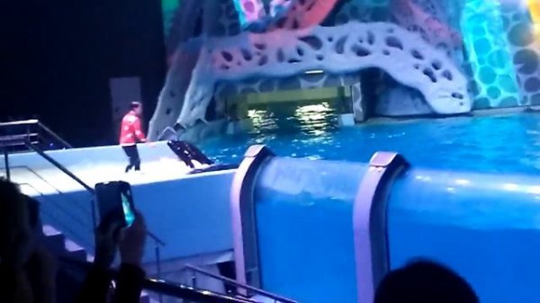 Шоу Касаток ( 8 часть )