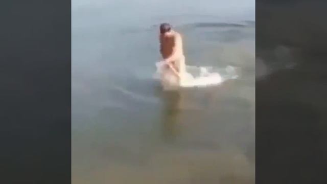 Пися укусил смотреть онлайн