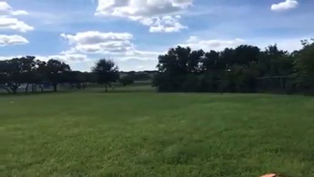 Slow motion standing still disc throw 290 feet смотреть онлайн
