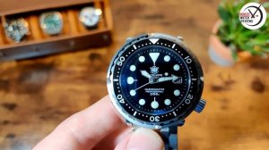 Steeldive SD1975 Seiko Tuna Homage Honest Watch Review #HWR