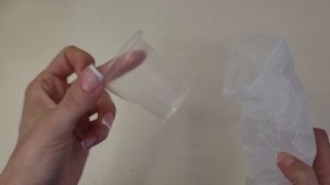 Алоказия реверса | Пересадка, отделение клубней