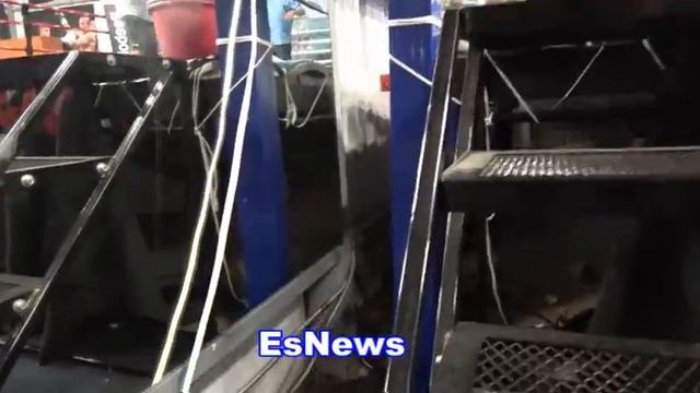 Robert Garcia Takes Out Two Black Widow Spiders In His Gym EsNews Boxing смотреть онлайн