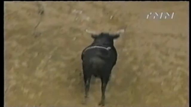 Moody Blues bucks Chris Sorace - 00 PBR Columbus, GA смотреть онлайн