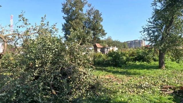 подготовка к стройке смотреть онлайн