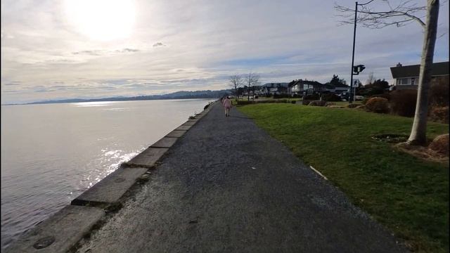 Walking by the water at Tulista Park смотреть онлайн