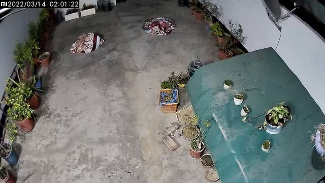 #cctv #xiaomi #securitycamera genuine review mi 360 camera live proof 1080ps at night смотреть онлайн