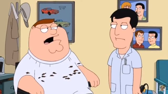 The family guy - cut hair scene смотреть онлайн