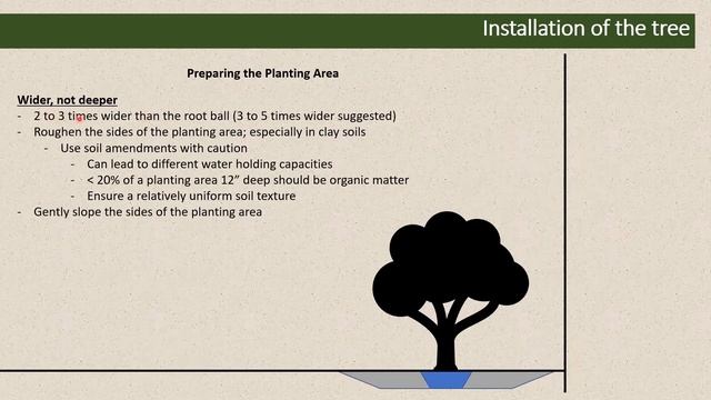 Knoxville Tree Board: Best Management Practices for Selecting, Planting, and Establishing New Trees смотреть онлайн