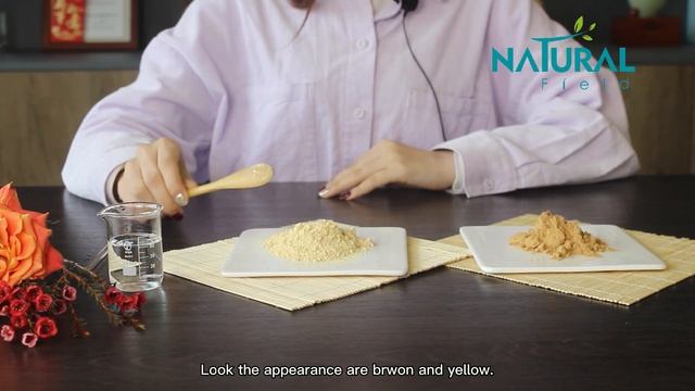 10% 80% Ginsenosides Panax Ginseng Extract Powder 100% Natural смотреть онлайн