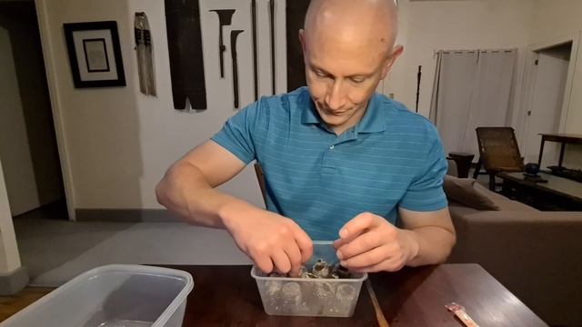 Grow Rainbow Eucalyptus Part 3: Seed Planting смотреть онлайн