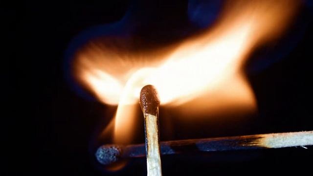 Right Cameraman Studio смотреть онлайн