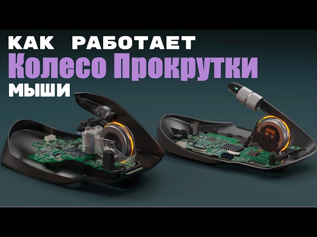 Как работают колёса прокрутки компьютерных мышей? [branch Education на русском]