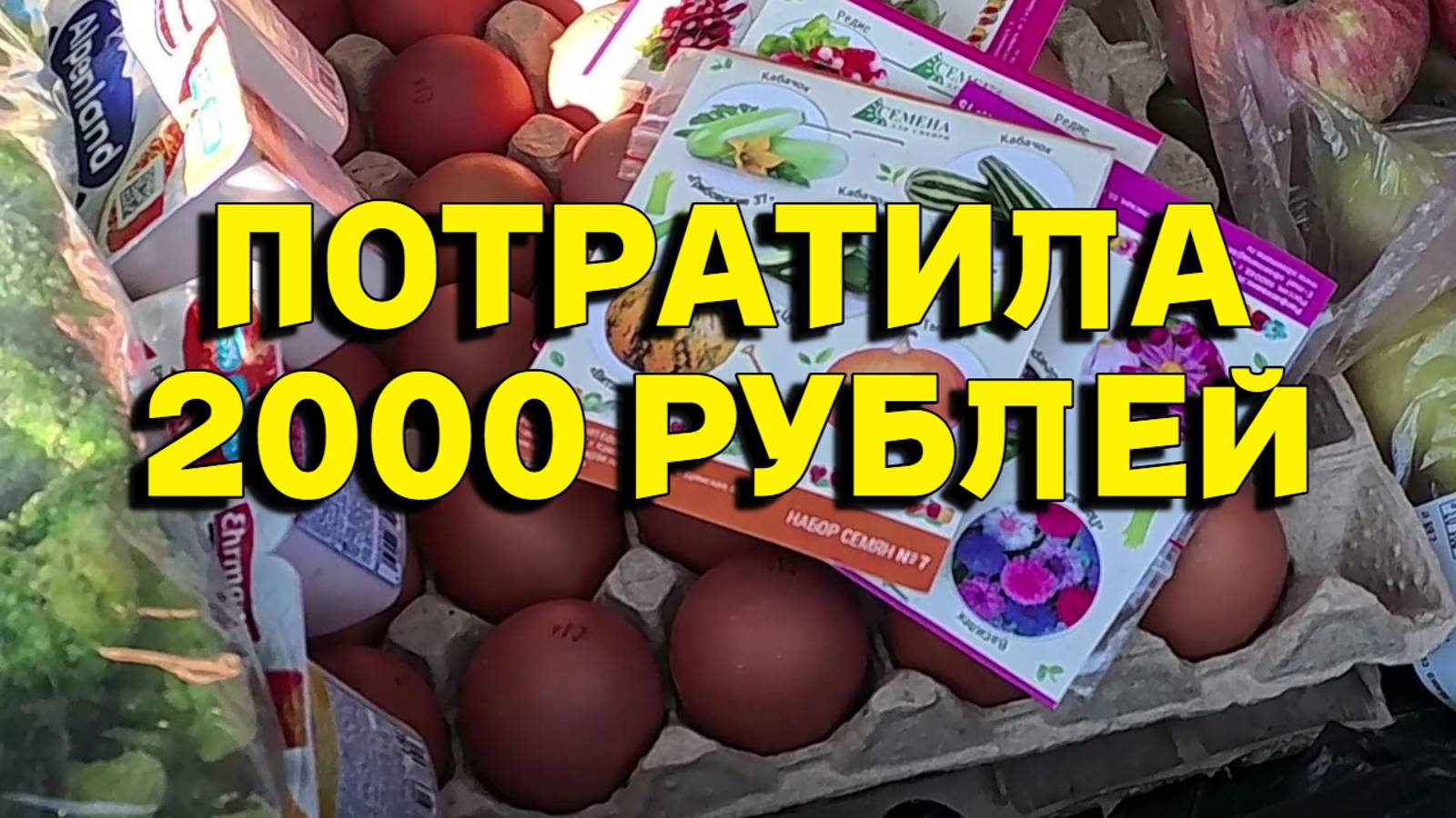 817ч Жизнь на юге России/Купили продукты/Переехали на Кубань с Урала смотреть онлайн