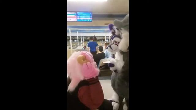 Kaz's 2017 NEO Spring Furbowl смотреть онлайн