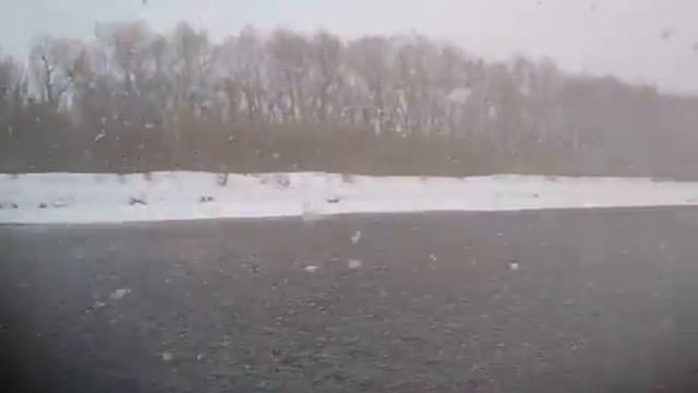 MOV 1721 смотреть онлайн
