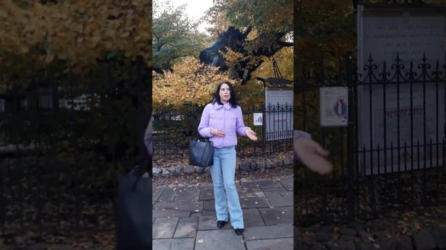 Липа Петра Могили, Старокиївська гора. Київ#ЕкскурсіїКиєвом#Київ#гідпоКиєву#київтуризм# смотреть онлайн