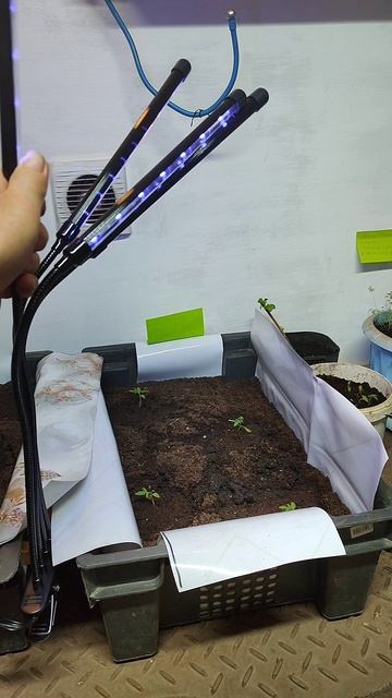 светильник для рассады