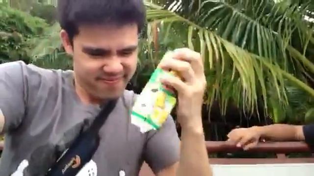 Koala march shaking смотреть онлайн