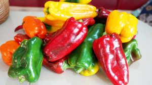 Когда сажать перец на рассаду (Самый лучший способ)