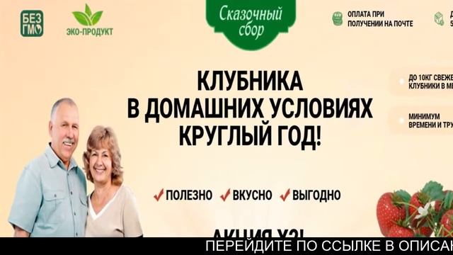 Клубника круглый год смотреть онлайн