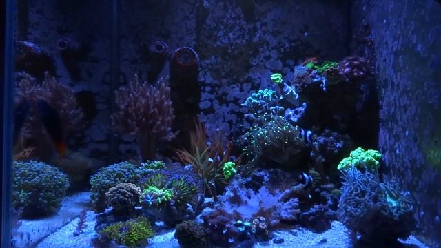 Просто Релакс) смотреть онлайн