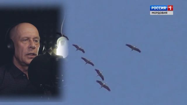 Выпуск программы Финно угорский мир от 15.06.20 смотреть онлайн