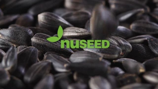Nuseed U.S. & Canada - A sunflower hybrid for every field and every market (2021) смотреть онлайн