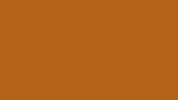 LIGHT BROWN SCREEN - 1 Hour - 4K / HEX #B5651D, RGB (181,101,29)